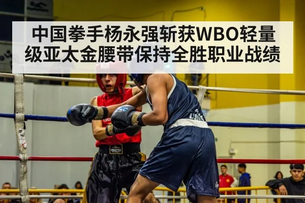 中国拳手杨永强斩获WBO轻量级亚太金腰带保持全胜职业战绩